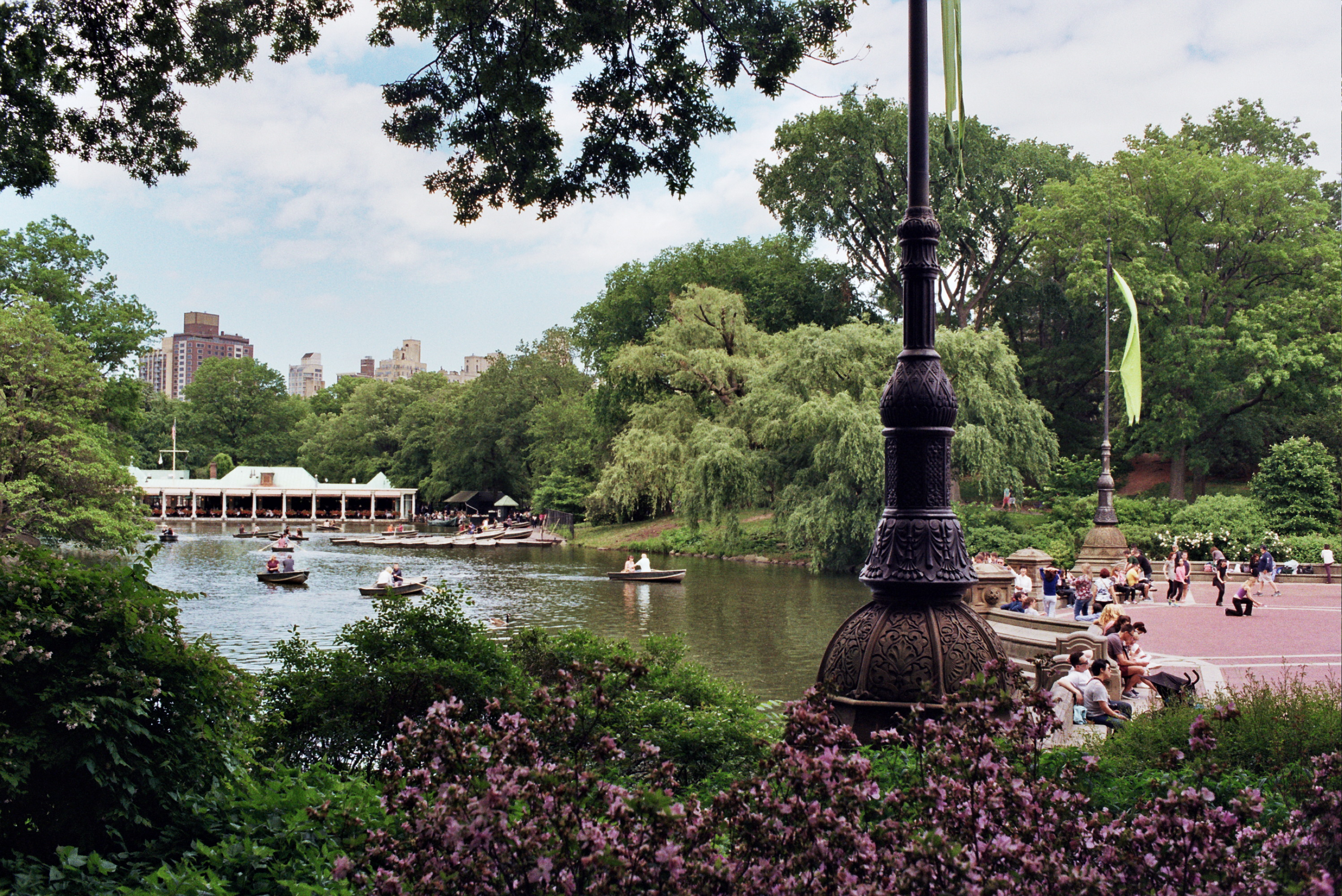 park image